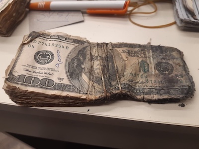 US dollars 2.jpeg